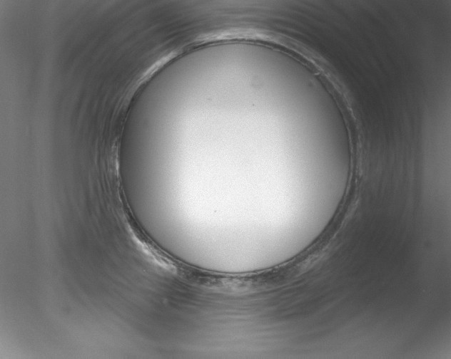 X0000078231241200611030845