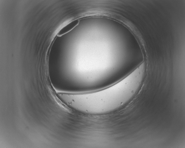 X0000078231242200611030845