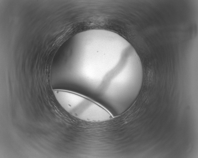 X0000078231250200611030844