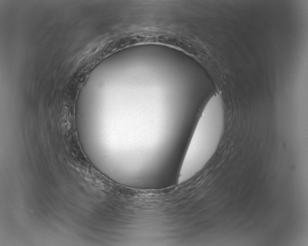 X0000078231253200611030844