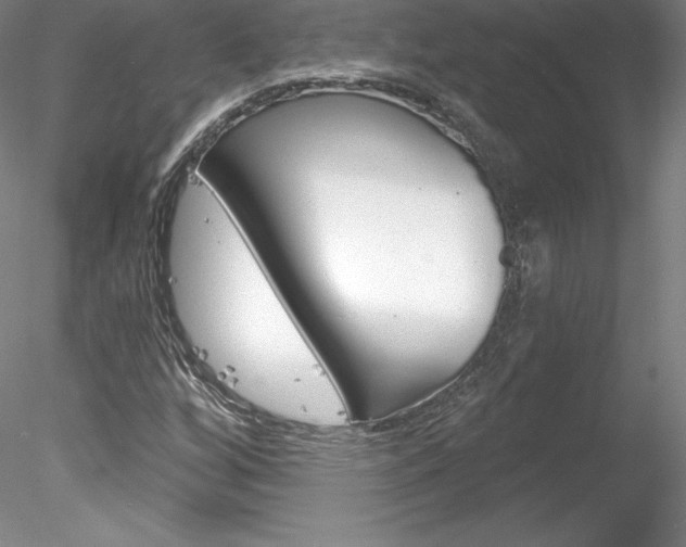 X0000078231256200611030844