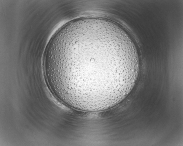 X0000078231283200611030844