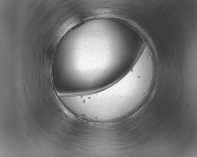 X0000078231289200611030844