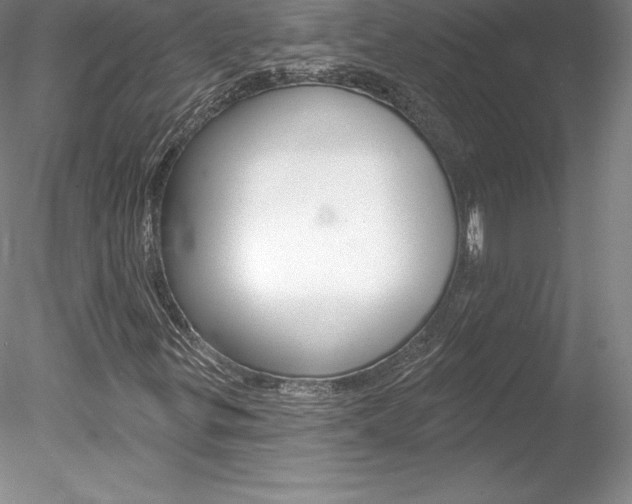 X0000078231299200611030843