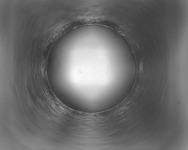 X0000078231300200611030843