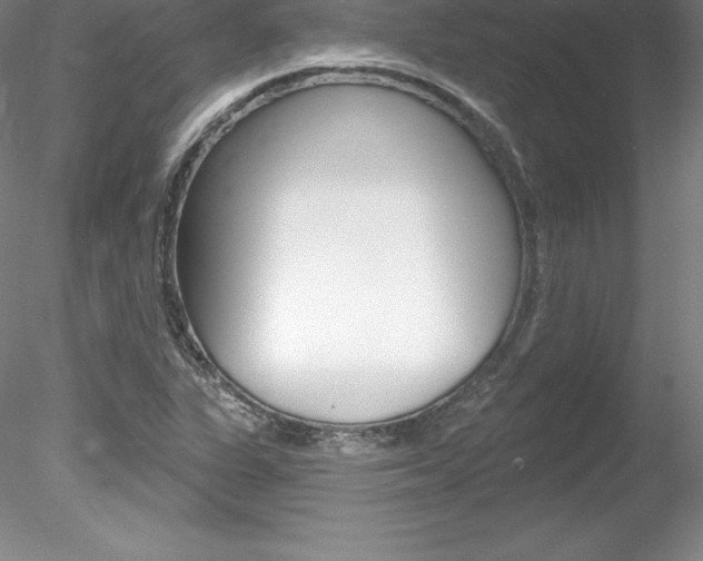 X0000078231311200611030843