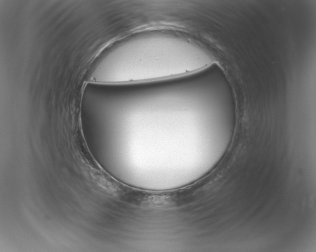 X0000078231313200611030843