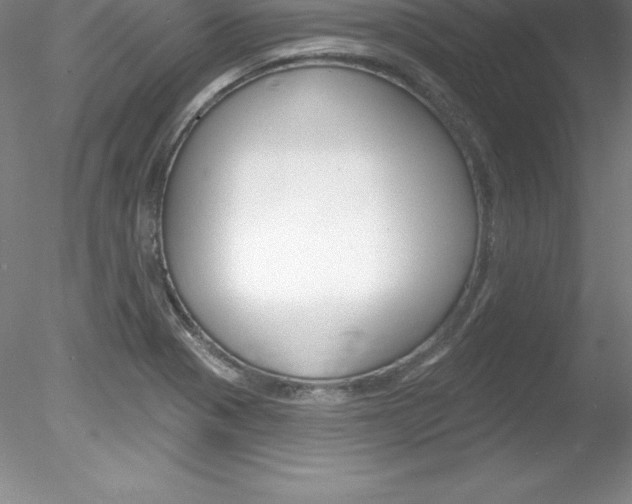 X0000078231321200611030843