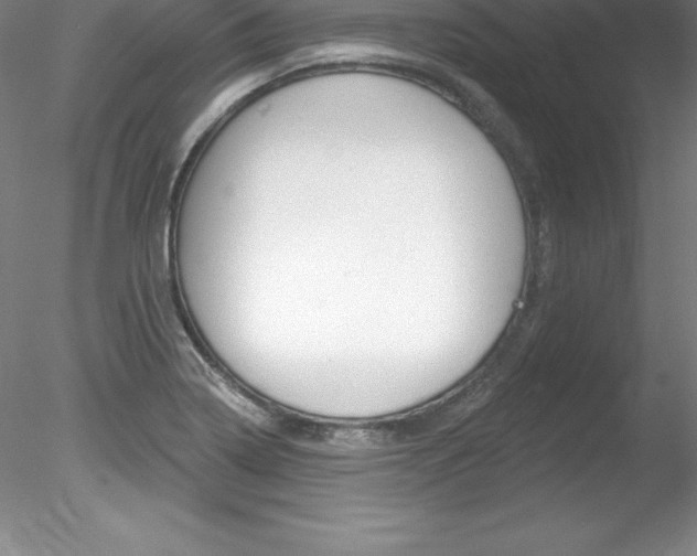 X0000078231322200611030843