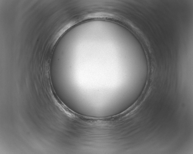 X0000078231329200611030843