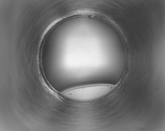 X0000078231331200611030843