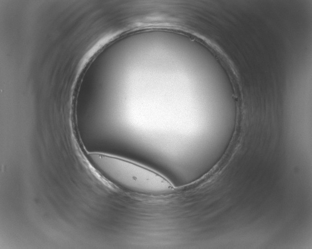 X0000078231333200611030843