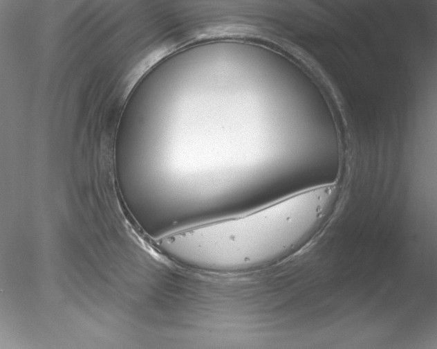 X0000078231337200611030843