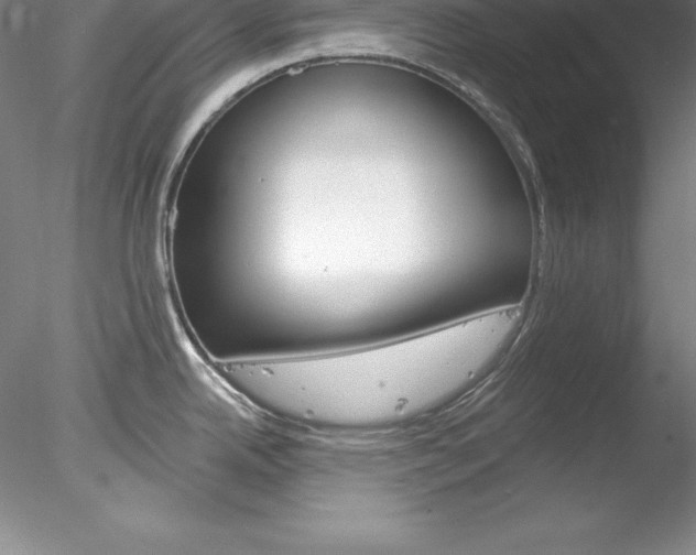 X0000078231342200611030843