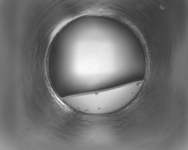 X0000078231344200611030843