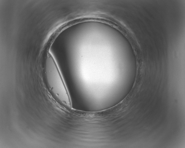 X0000078231360200611030842