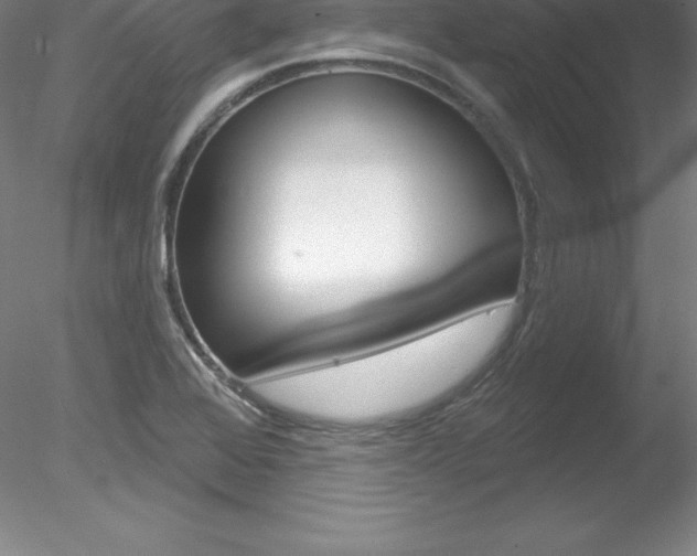 X0000078231368200611030842