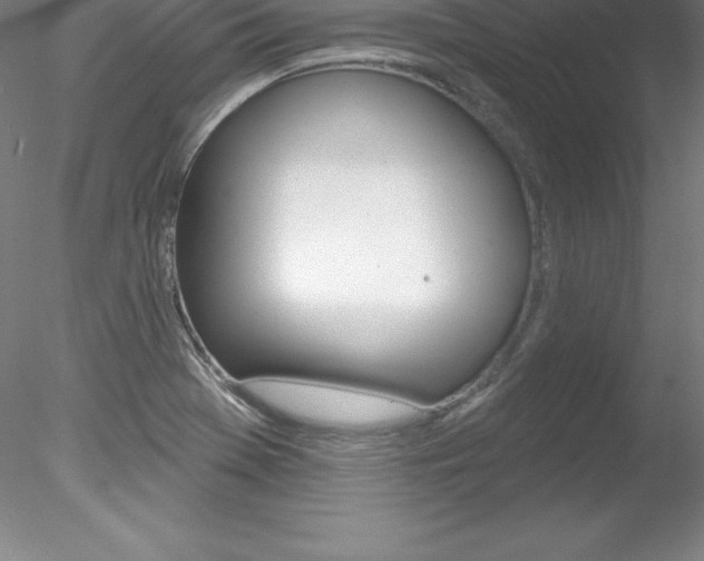 X0000078231369200611030842