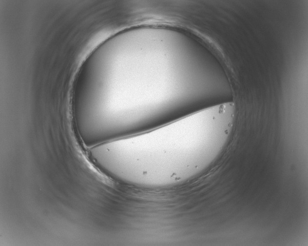 X0000078231375200611030842