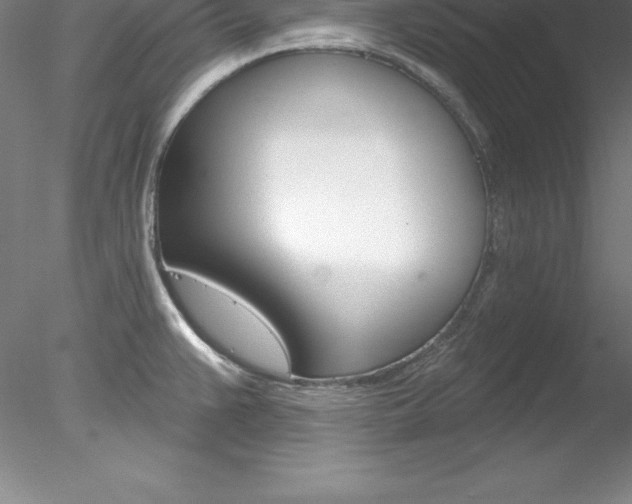 X0000078231383200611030842