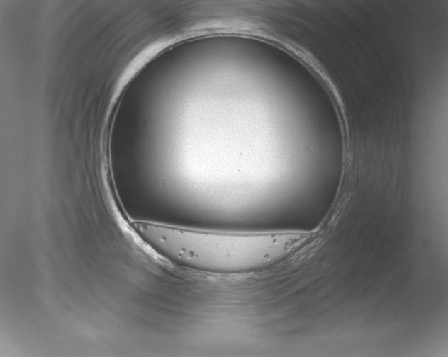 X0000078231389200611030842