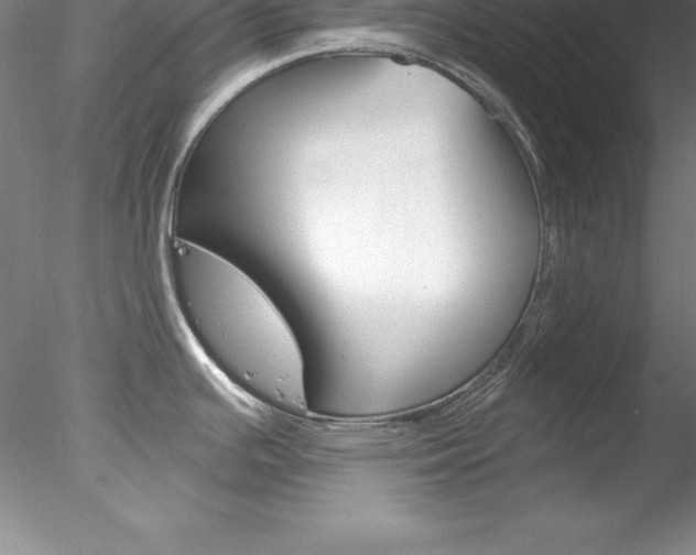 X0000078231391200611030842
