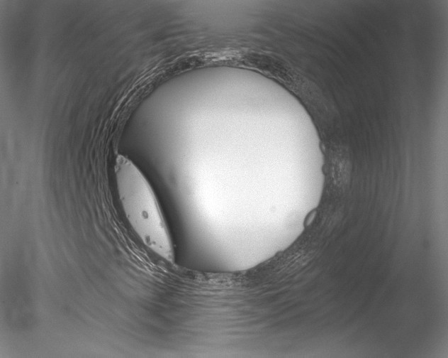 X0000078231393200611030841