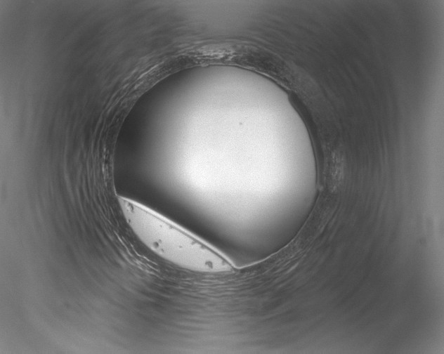 X0000078231394200611030841