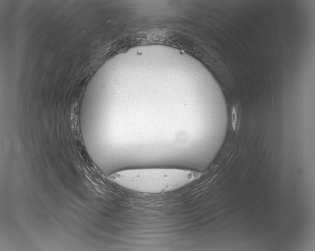 X0000078231395200611030841