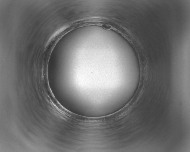 X0000078231402200611030841
