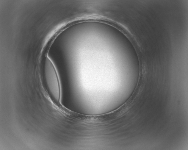X0000078231414200611030841