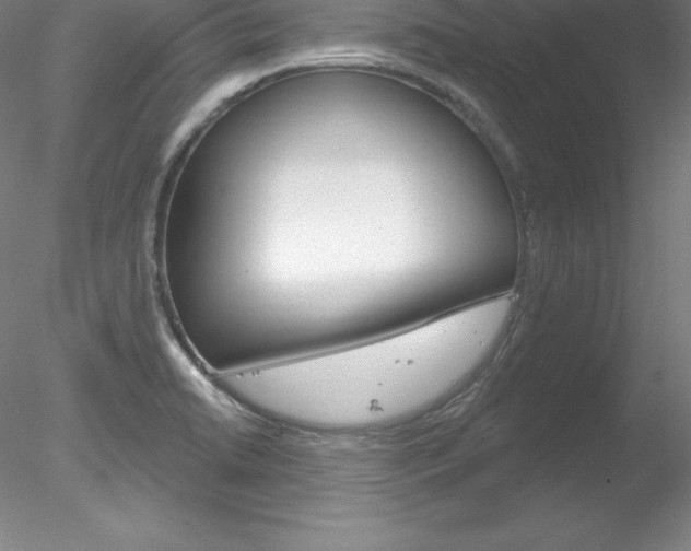 X0000078231422200611030842