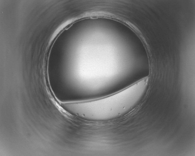 X0000078231438200611030842