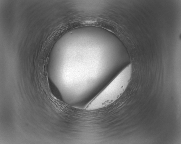 X0000078231441200611030841