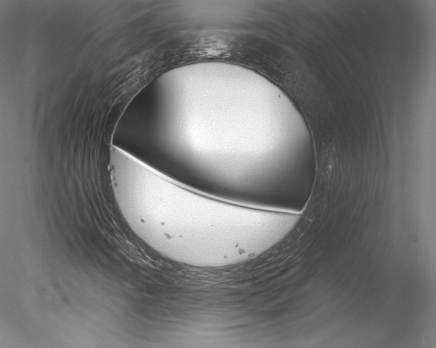 X0000078231442200611030841