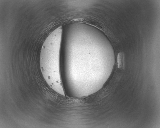 X0000078231443200611030841