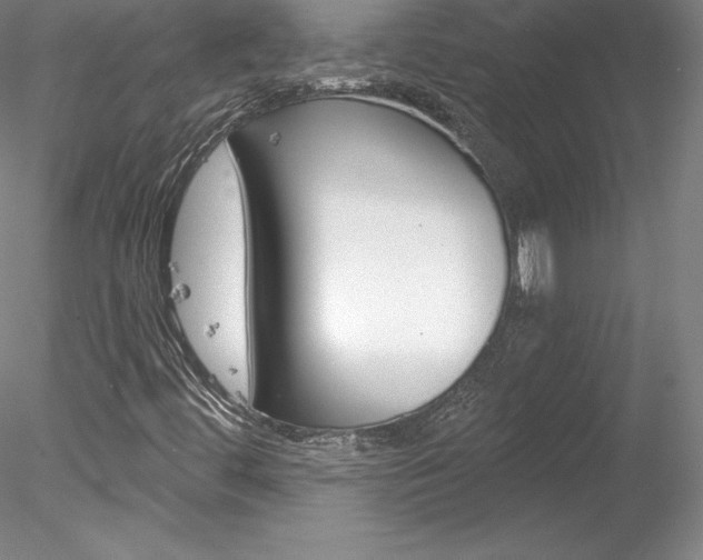 X0000078231444200611030841