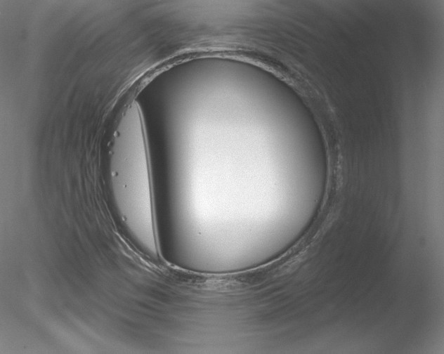 X0000078231449200611030841