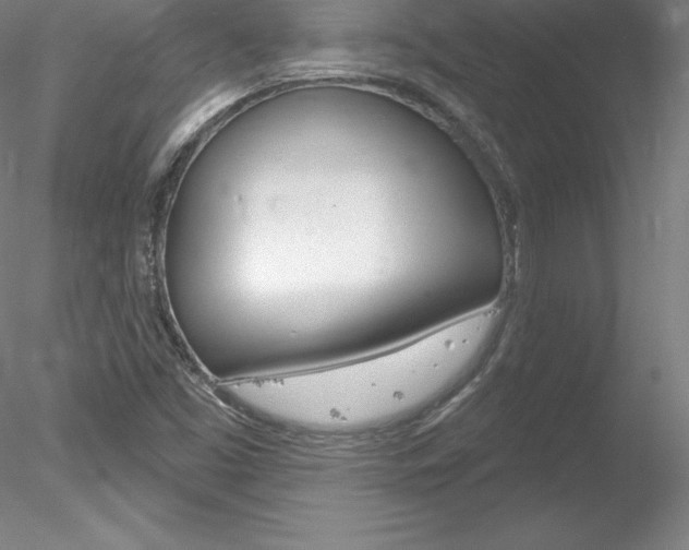 X0000078231453200611030841