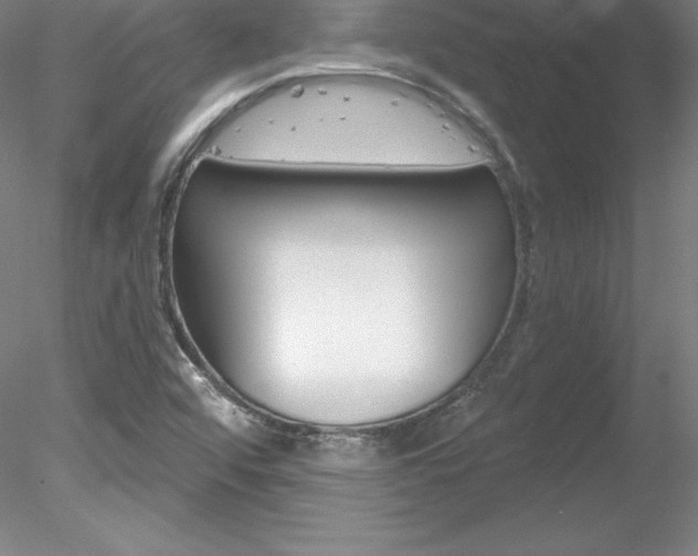 X0000078231456200611030841