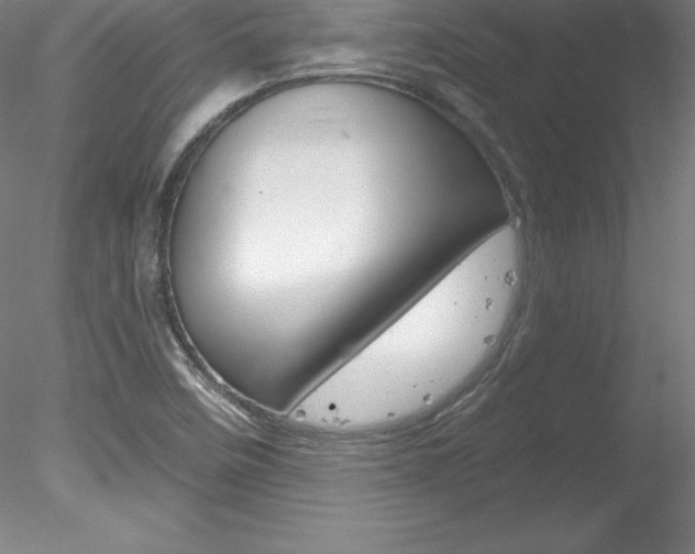 X0000078231458200611030841