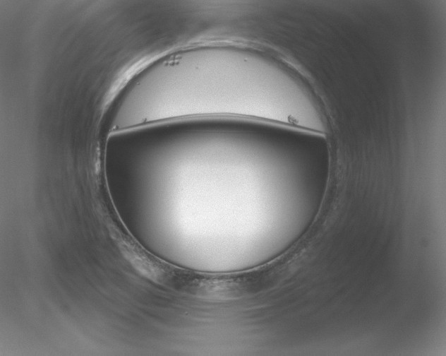 X0000078231461200611030841