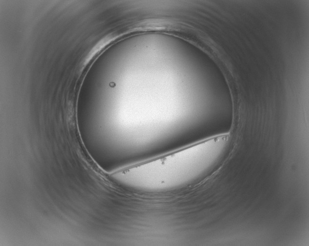 X0000078231465200611030841