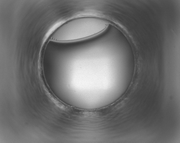 X0000078231469200611030841