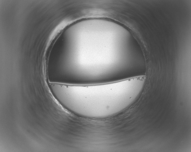 X0000078231472200611030841