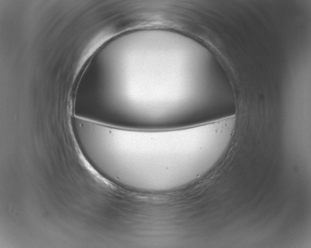 X0000078231476200611030840