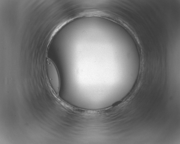 X0000078231481200611030840
