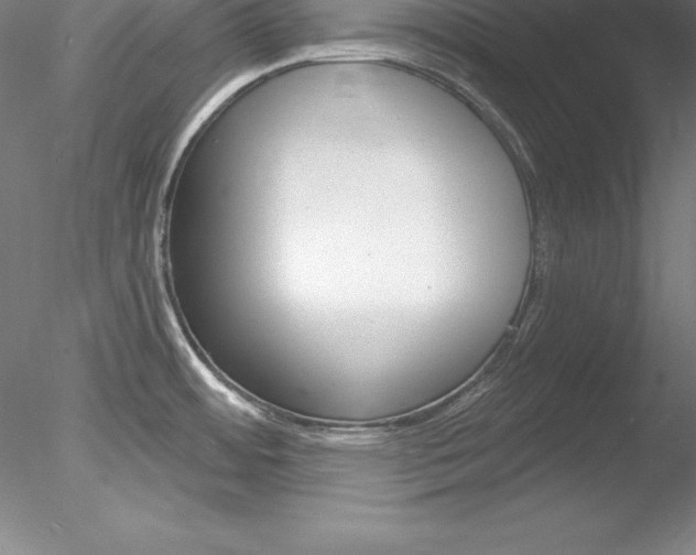 X0000078231484200611030840