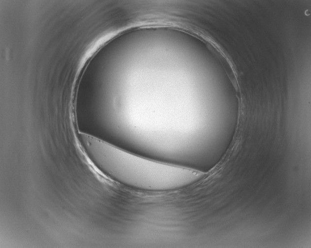X0000078231485200611030840