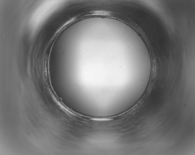 X0000078231487200611030840